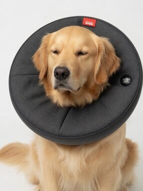 XL- Midog Inflatable Pet Recovery Collar - Dark Gray- 18 to 24 Inch Neck-NWT
